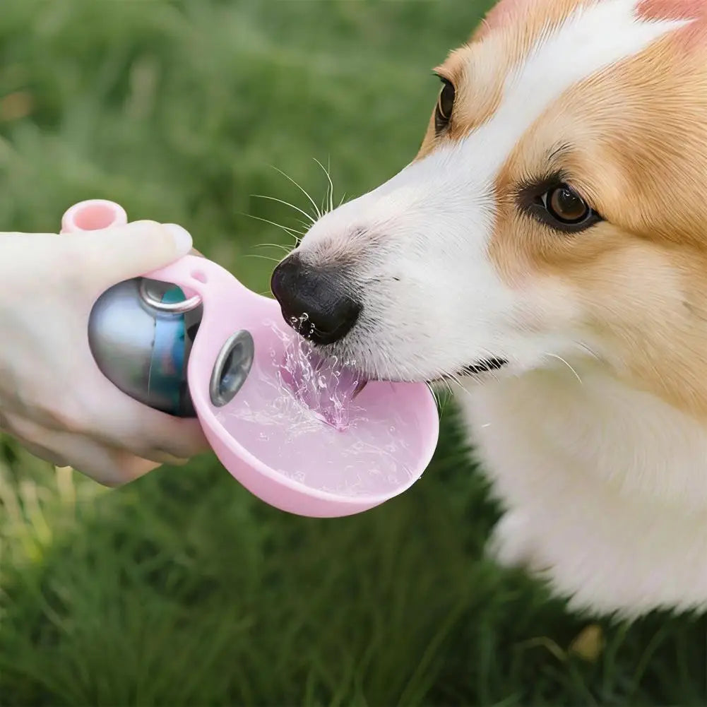 Travel Dog Water Container Portable Dog Water Bottle with Foldable Silicone Bowl Leak-Proof Stainless Steel Pet for Travel